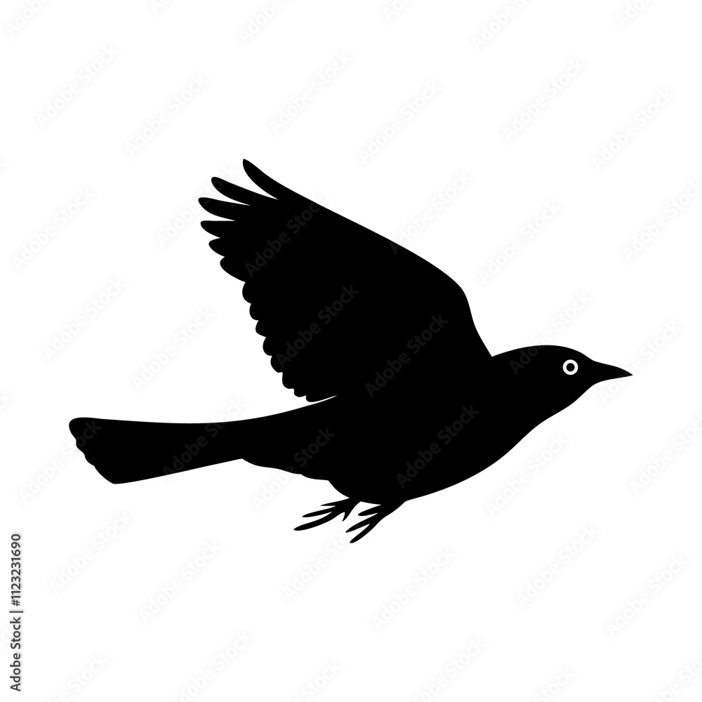 crow bird flying alone crow bird flying alone