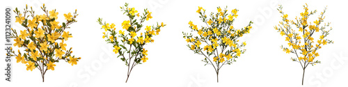 Vibrant and Cheerful Winter Jasmine Bush with Abundant Blooming Yellow Flowers Signaling the Arrival of the Spring Season in a Scenic Outdoor Garden Setting