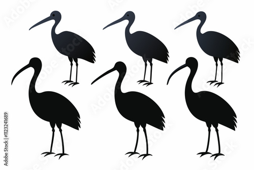 Spoonbill Vector Set, ibis bird animal vector Set illustration on white background. photo