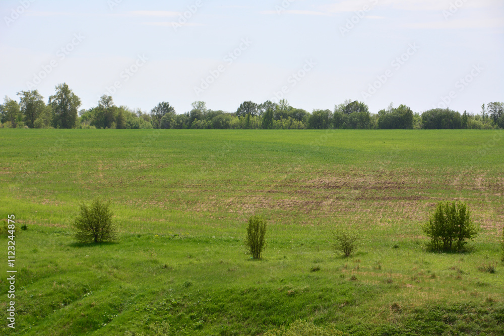 Fototapeta premium a green plowed field with a few trees in the background in cloudy day