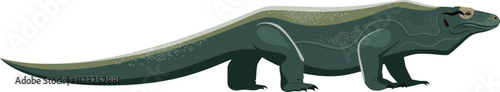 Komodo dragon, or komodo monitor, a large lizard species from indonesia, standing and gazing forward in a minimalist vector illustration