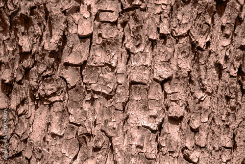 Tree bark texture. Demonstrating color of 2025 year mocha mousse photo