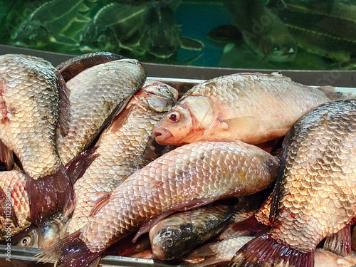 Fresh river carp fish on the store counter.