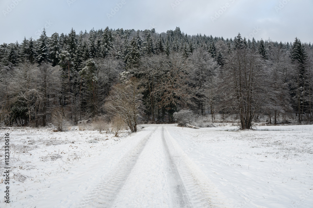 Fototapeta premium Field path with trees and snow