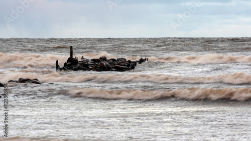 Принти на полотні dramatic storm in the Baltic Sea, large waves crashing against the stone pier, b