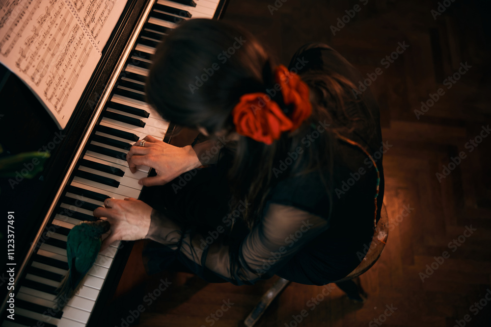 Obraz premium Top View Of Woman Playing Piano