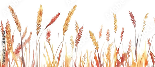 Wheat fields watercolor illustration isolated on transparent background