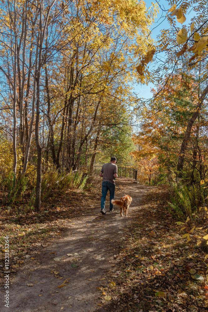 Obraz premium Walking with a pet in Indian Summer