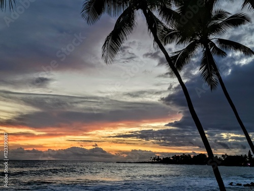 A tropical sunset scene featuring silhouetted palm trees against a colorful sky, with the ocean and shoreline in the foreground.