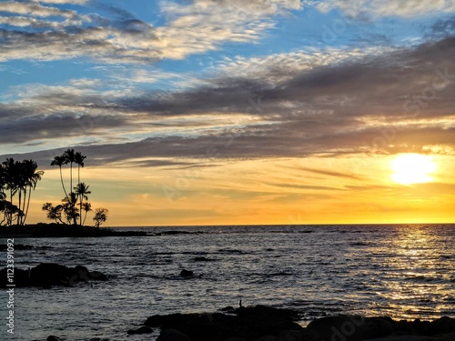 A stunning sunset over the ocean, with golden hues reflecting off the water and silhouetted palm trees in the distance.