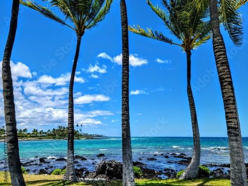 A picturesque ocean view framed by tall, vibrant palm trees under a clear blue sky with scattered clouds.