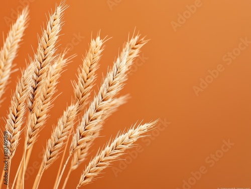 A close-up of wheat stalks against a warm orange background, showcasing their texture and color, evoking a sense of harvest and nature.