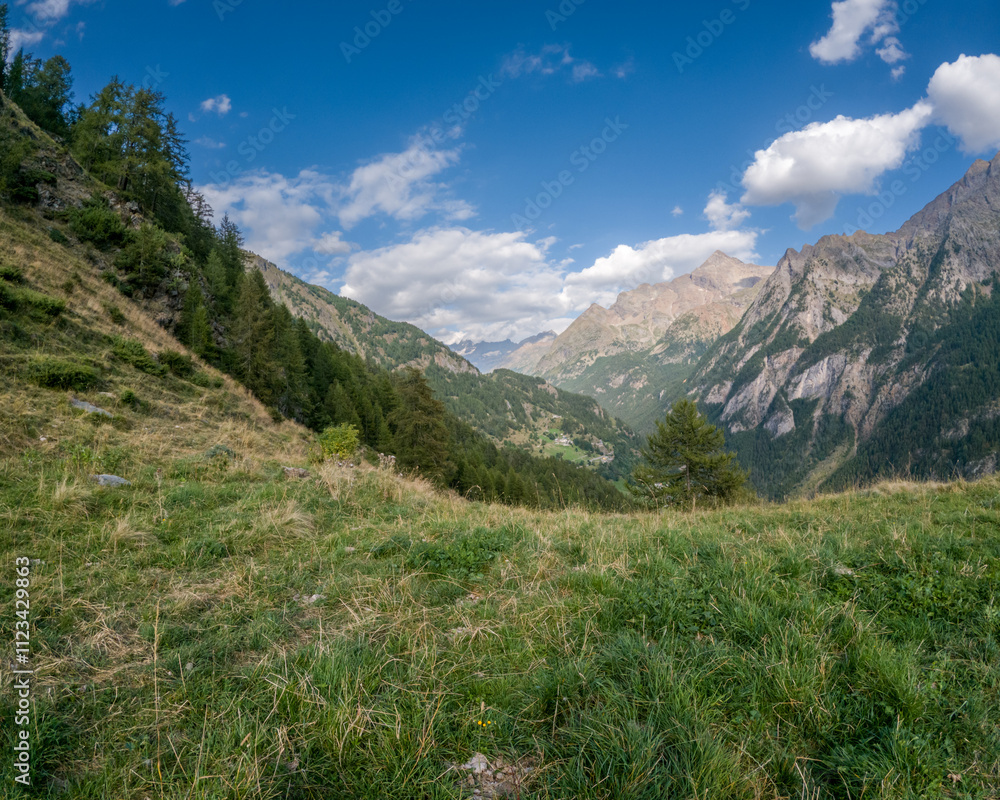 Fototapeta premium Mountain landscape with green slopes pine trees dramatic rocky peaks
