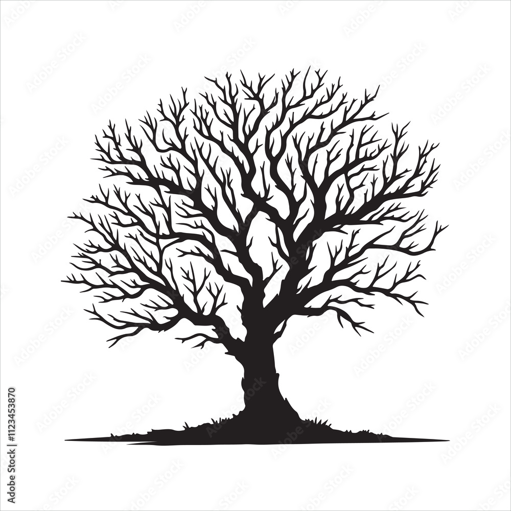 Obraz premium Leafless Tree silhouette on white background 