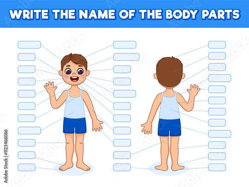 Write the name of the body parts. Boy anatomy. Body parts without names. Cute cartoon illustration. Children's game.