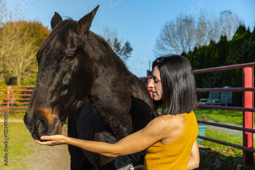 Woman feeding a black horse by hand on a sunny ranch. Lifestyle. Horse riding. photo