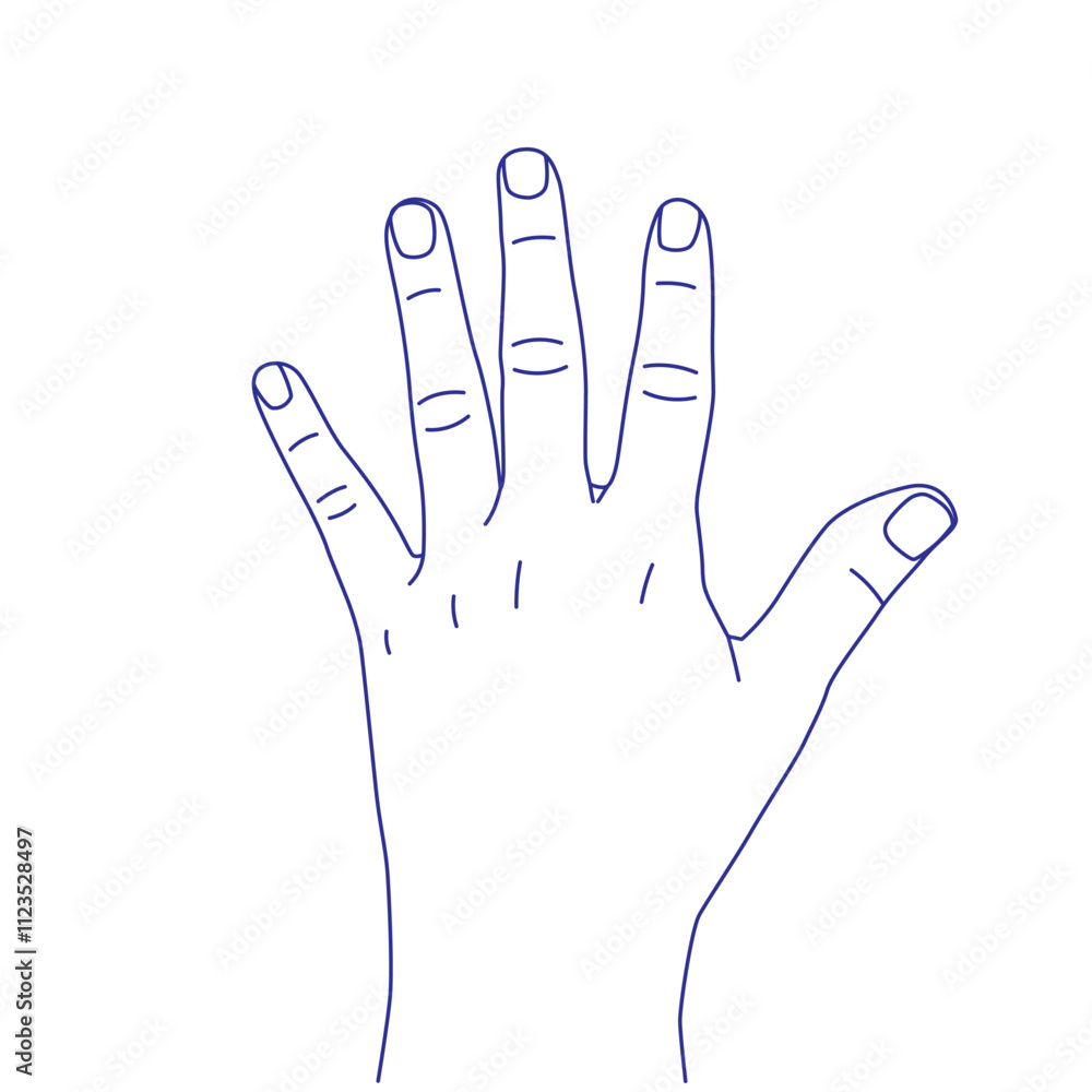 Obraz premium Hand gesture sketch. Counting with fingers. One, two, three, four and five. Palm back. Index, middle, ring, little fingers and thumb