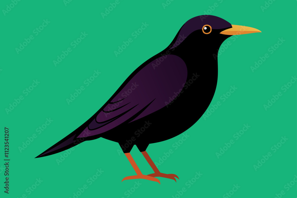 Obraz premium European Starling bird vector art illustration.