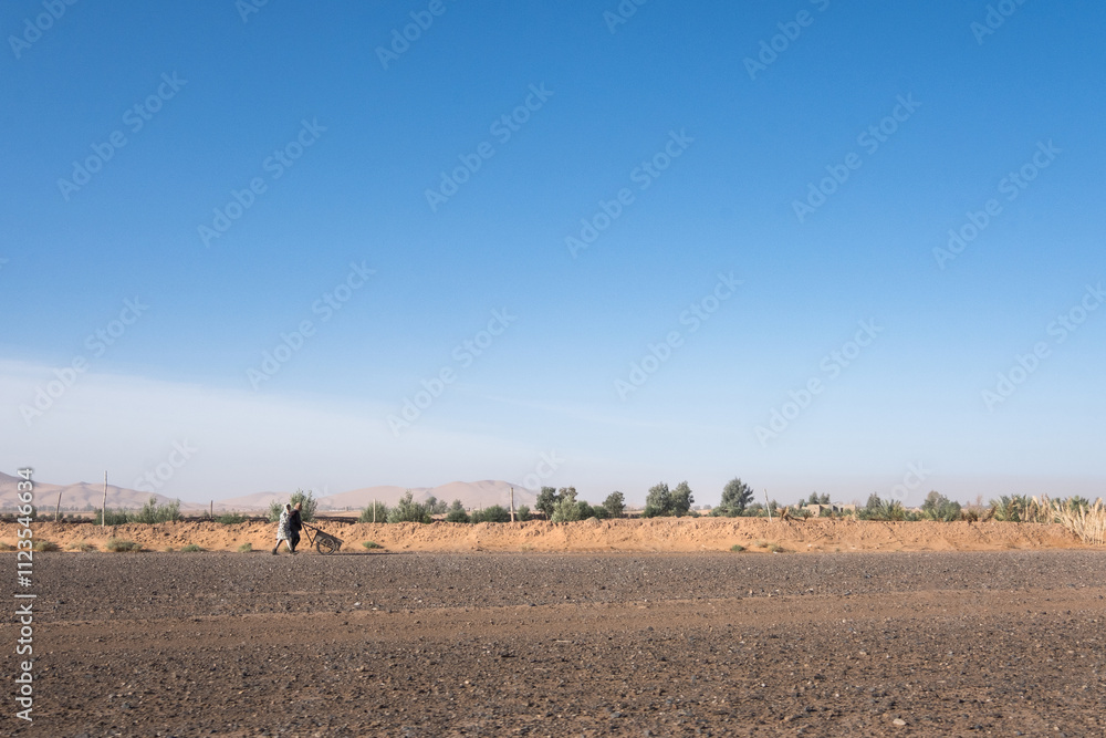 Obraz premium Two peasant women walk with a wheelbarrow along the edge of an agricultural plantation in the middle of the desert. The day is sunny and in the background are the dunes of the Moroccan desert