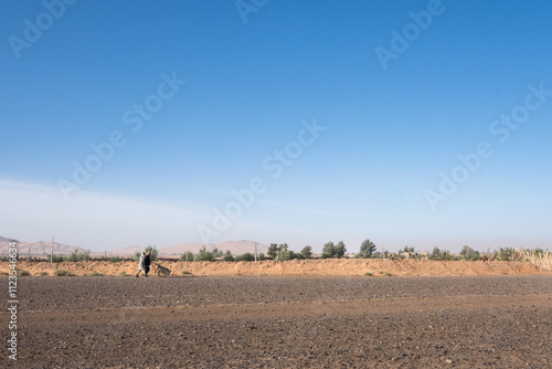 Fototapeta Two peasant women walk with a wheelbarrow along the edge of an agricultural plantation in the middle of the desert