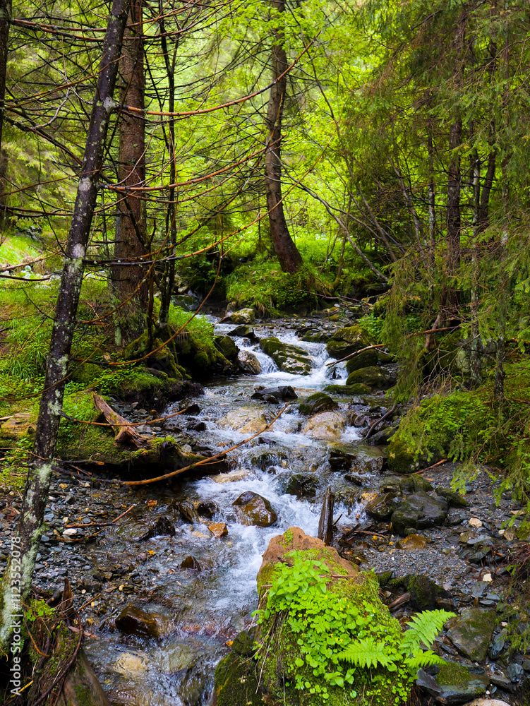 Fototapeta premium Wild river waterfall in Romanian mountain forest. Wonderful springtime landscape in mountains.