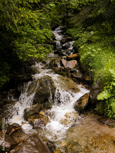 Wild river in a mountain forest. Panorama of beautiful countryside of Romania.