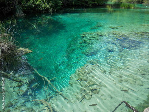 Natures beauty in clear, calm water