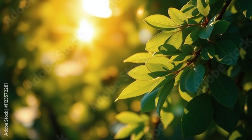 Beautiful sunlight shining through vibrant green leaves during golden hour