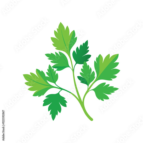 Fresh Coriander Vector - Herb Illustration for Culinary and Nature-Inspired Botanical Art
