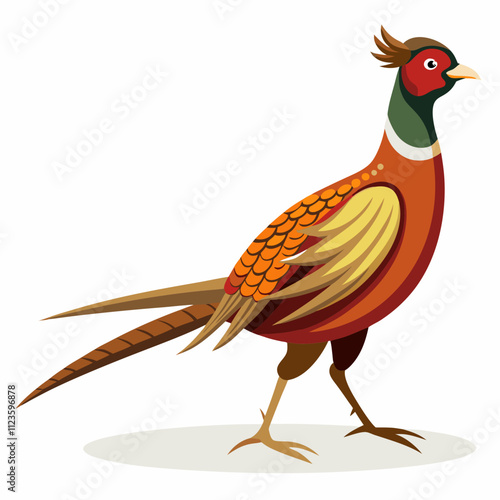 pheasant bird