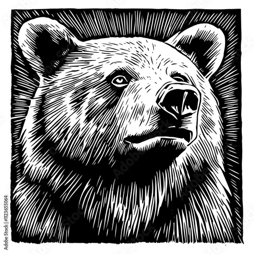 grizzly bear head sketch in monochrome – black vector