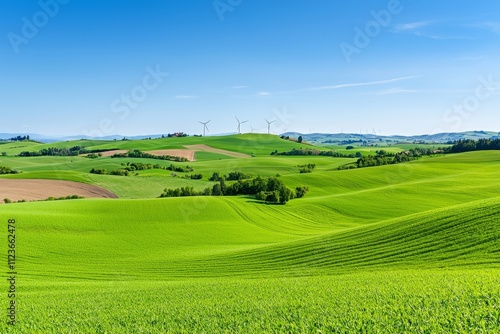 Steptoe Butte State Park in Washington offers a view of 58 wind turbines, which have turned the long-neglected wind power of the Palouse into a crucial part of the alternative energy grid. photo