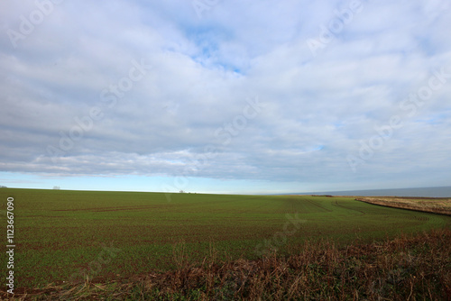 Cliffs between Arbroath and Auchmithie - Angus - Scotland - UK photo