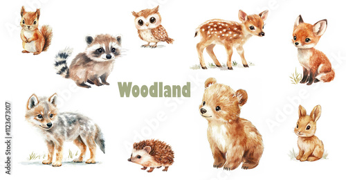 Watercolor woodland baby animals set isolated on white background. Forest animals for children’s book or poster. photo