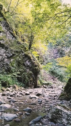 A traveler enjoying freedom and inner peace in magnificent nature