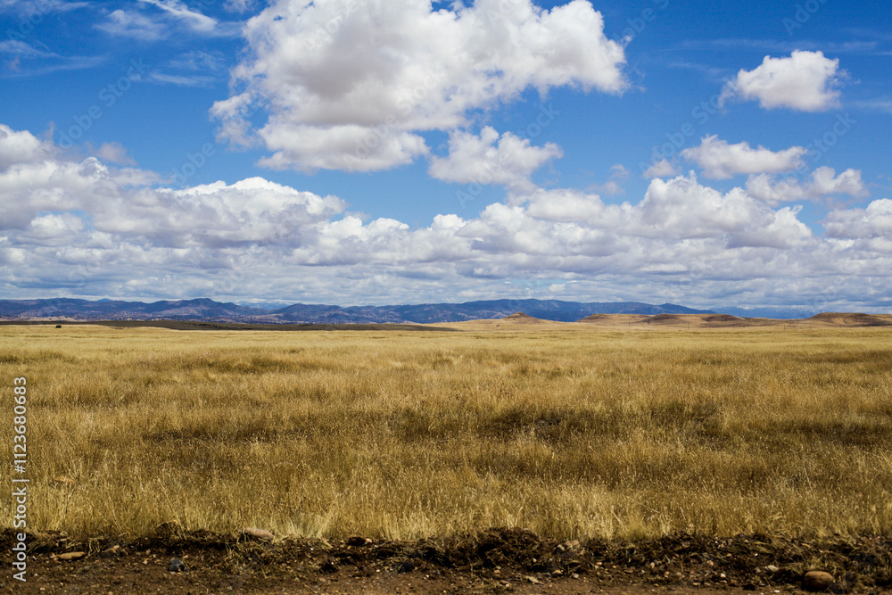 Obraz premium Field and Sky