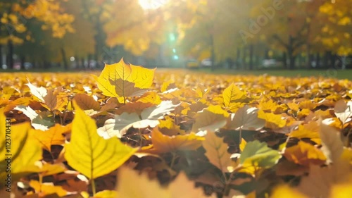 Fallen autumn leaves scattered on the ground in a park, symbolizing seasonal beauty and the quiet transition of nature. photo