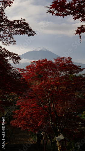 Perfect Mount Fuji view in autumn colored park photo