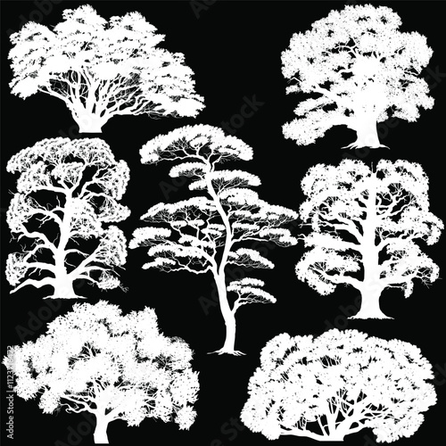 isolated on black lush seven trees