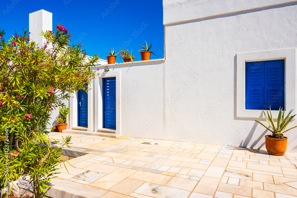 Flower pot against white wall of a typical Greek house with blue window, Naxos island, Cyclades, Greece