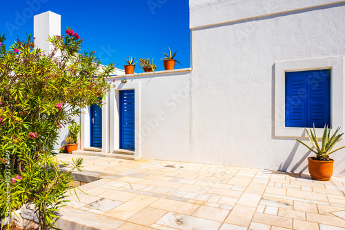 Flower pot against white wall of a typical Greek house with blue window, Naxos island, Cyclades, Greece