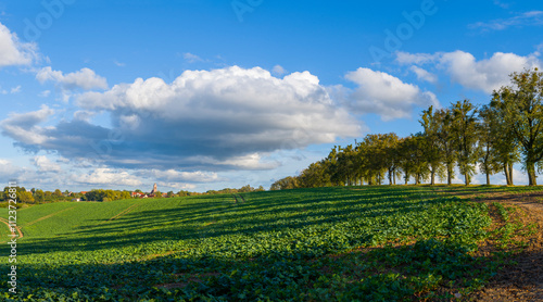 Fototapeta Naklejka Na Ścianę i Meble -  Pola pod Jezioranami 2024_2