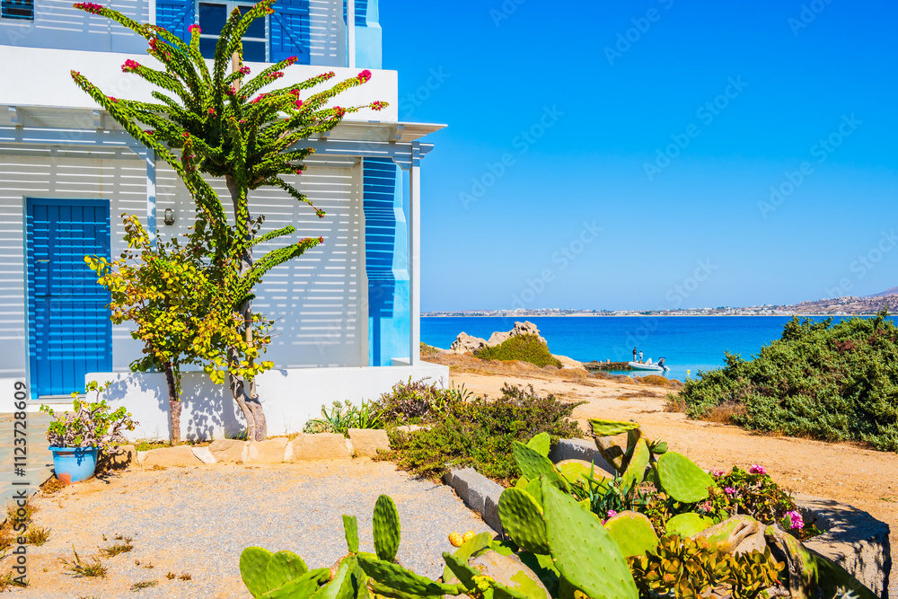 Typical Greek style apartments decorated with tropical plants in Orkos bay, Naxos island, Cyclades, Greece