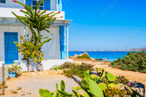 Obraz na płótnie Typical Greek style apartments decorated with tropical plants in Orkos bay, Naxos island, Cyclades, Greece w salonie