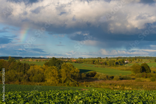 Fototapeta Naklejka Na Ścianę i Meble -  Przepiękna tęcza nad warmińskim polem 2024