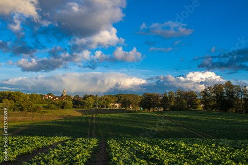 Fototapeta Naklejka Na Ścianę i Meble -  Kolorowy zachód słońca nad warmińskim polem 2024