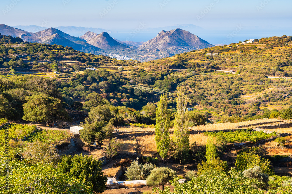 View of mountain farming landscape and sea, Naxos island, Cyclades, Greece
