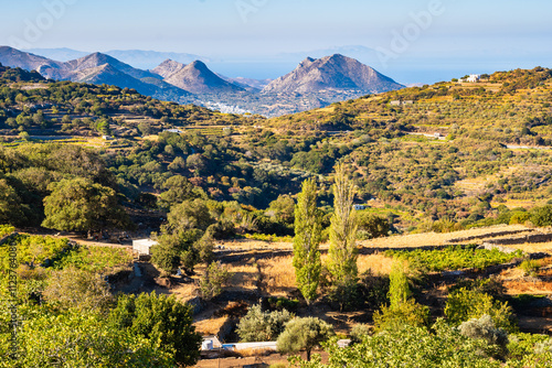 Obraz na płótnie View of mountain farming landscape and sea, Naxos island, Cyclades, Greece w salonie