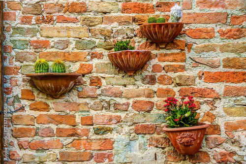  Succulents in ceramic pots as walll art in Certaldo, Tuscany, Italy