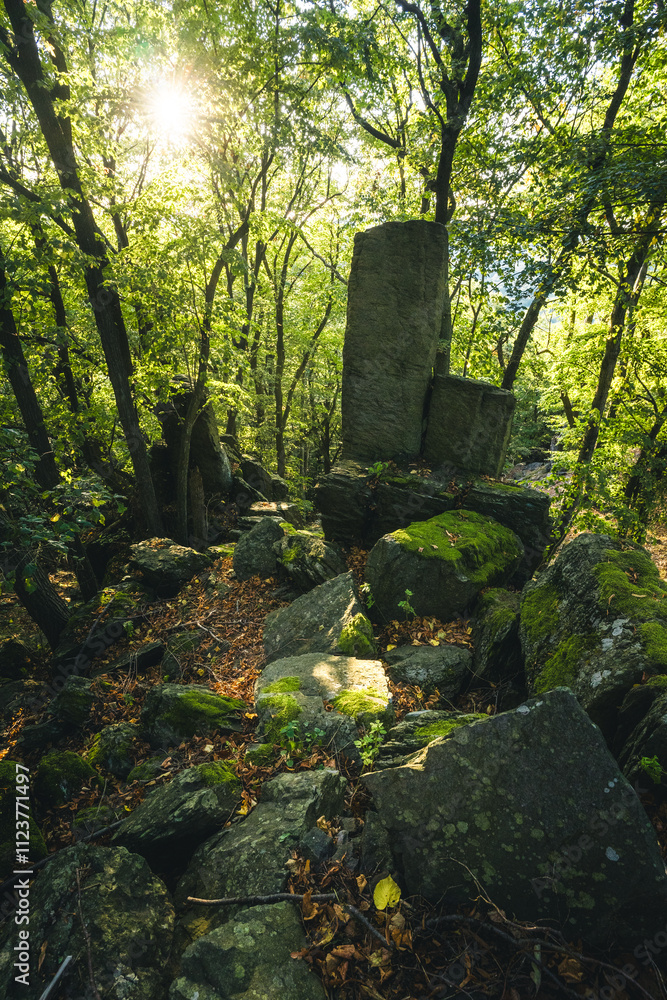 Fototapeta premium There is a large rock positioned right in the middle of a forest